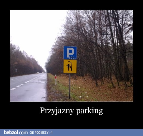 Przyjazny parking
