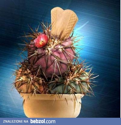 Deser dla znienawidzonych osób