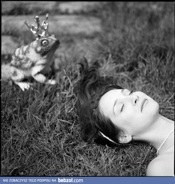 Królewicz się znalazł