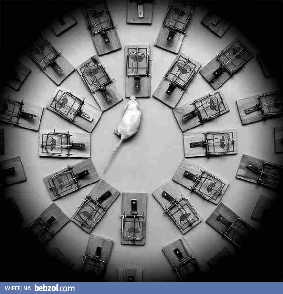 Sytuacja bez wyjścia