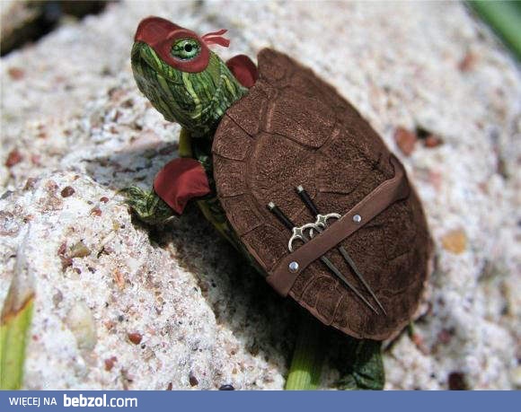 Żółw Ninja :D