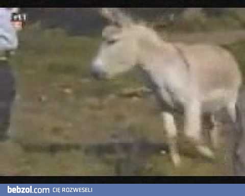 Biedny facet - wybrał nieodpowiednie miejsce...