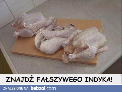 Fałszywy indyk
