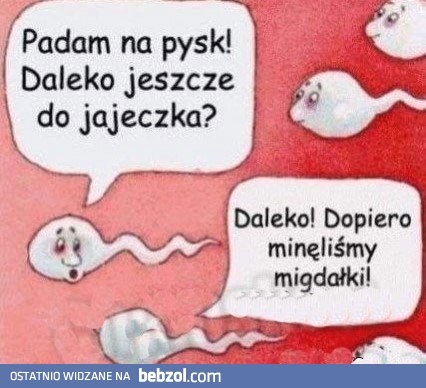 Daleko jeszcze?