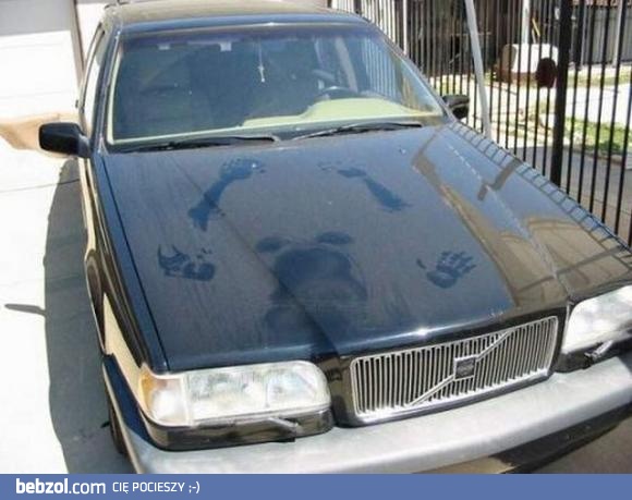 Najwyższa pora umyć samochód