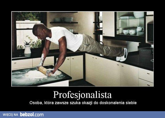 Profesjonalista