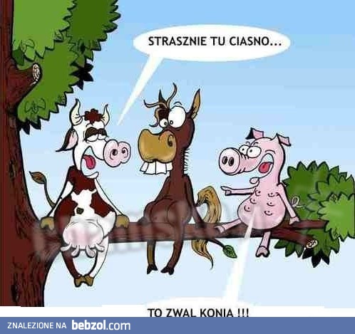 Strasznie tu ciasno!