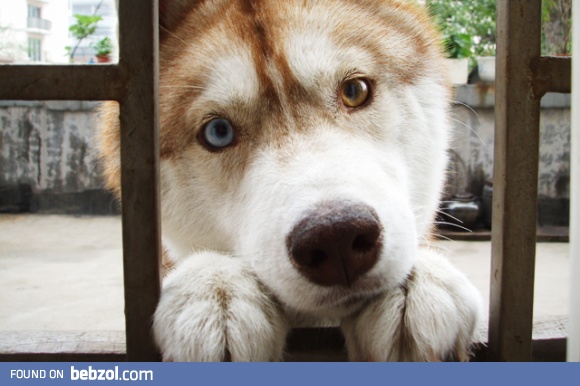 Can I come in?