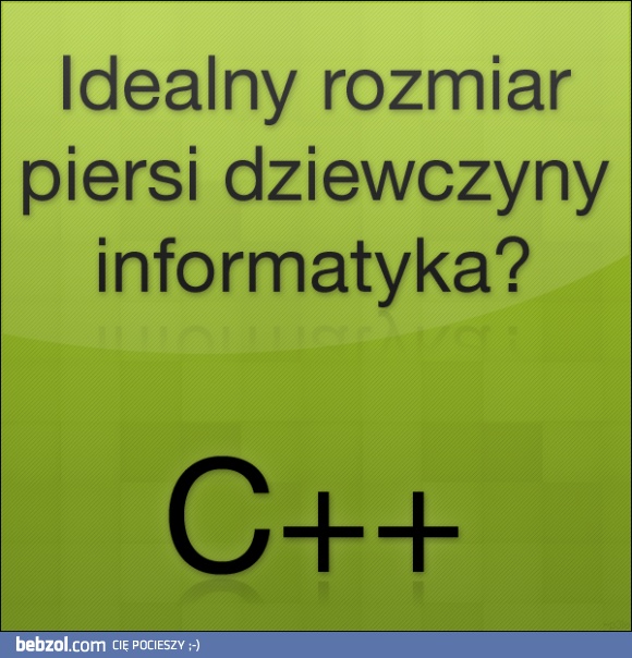 Kobieta pisana informatykowi