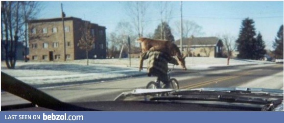 Meanwhile, in Canada...