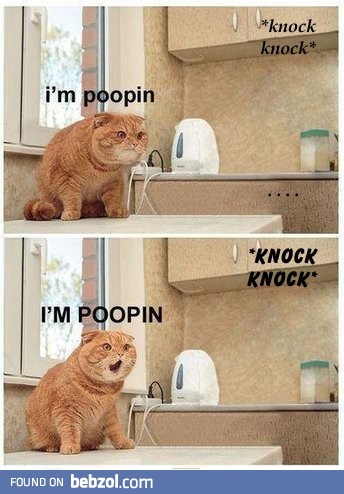 Everytime