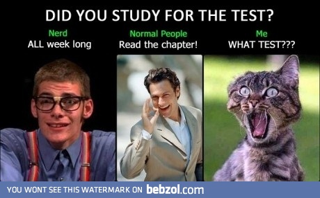 The three types of students in college