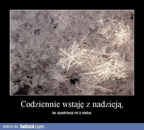 Oda do płatka