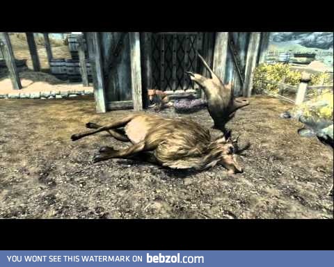 The Adventures of Dovahkitty in Skyrim
