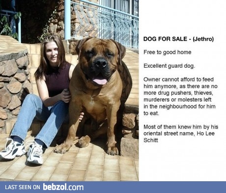 Ho Lee Schitt!