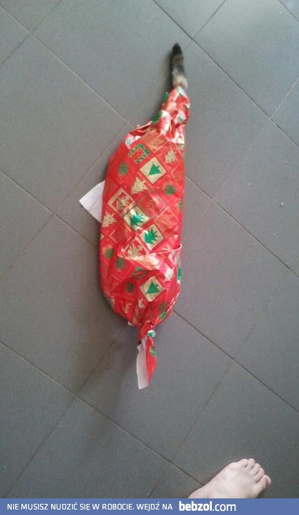 Ciekawe co dostanę na święta...