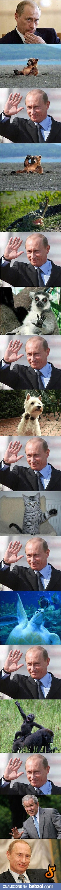 Putin i przyjaciele