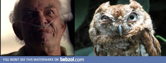 Separated at birth?