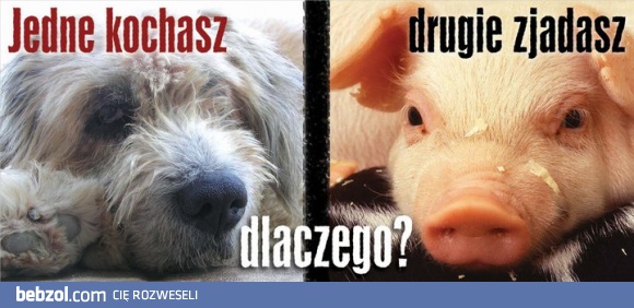 Dlaczego?