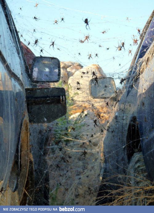 Następnym razem znajdźmy lepsze miejsce parkingowe...
