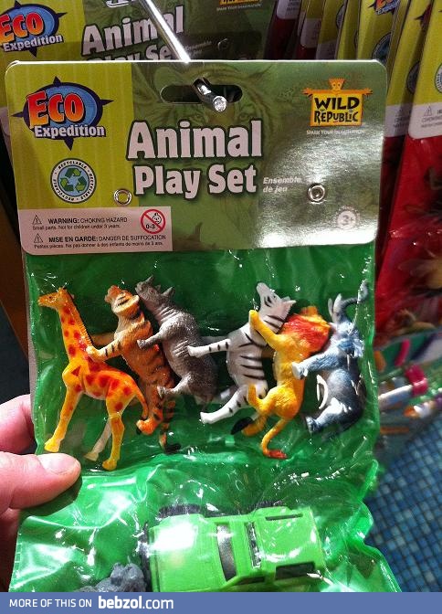 Man, those animals know how to play
