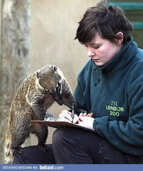 Źle wpisałaś moje imię