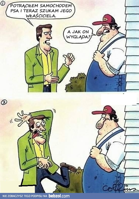 Poszukiwanie właściciela