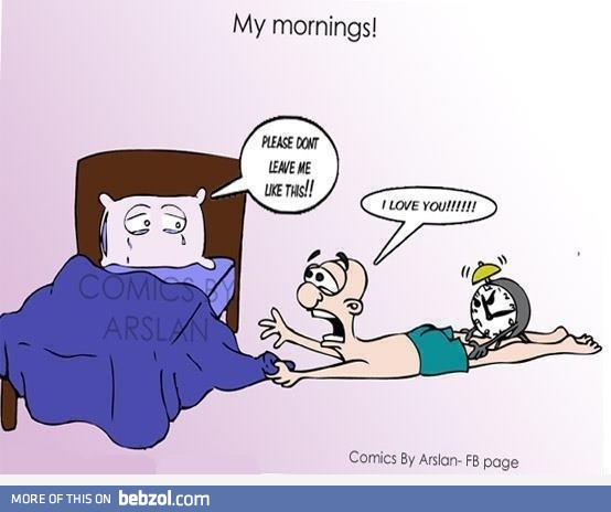 Every damn morning!