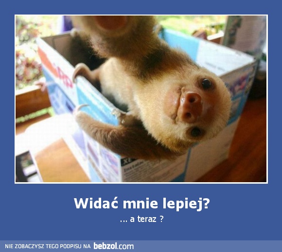 Widać mnie lepiej?