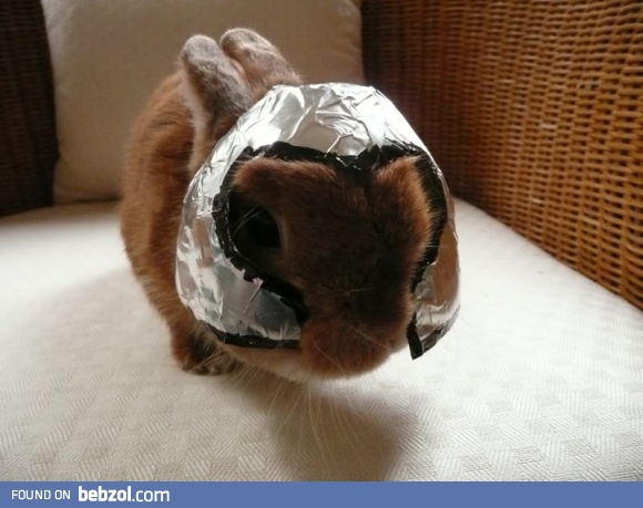 Small bunny as Magneto