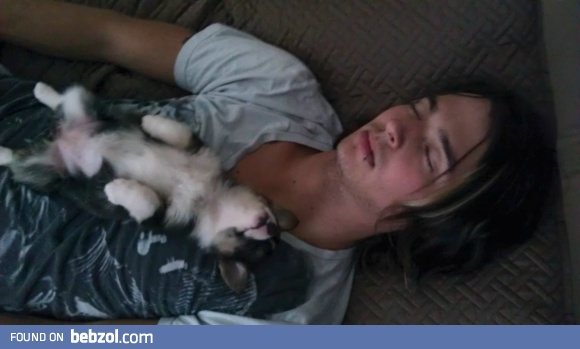 Sweet puppy