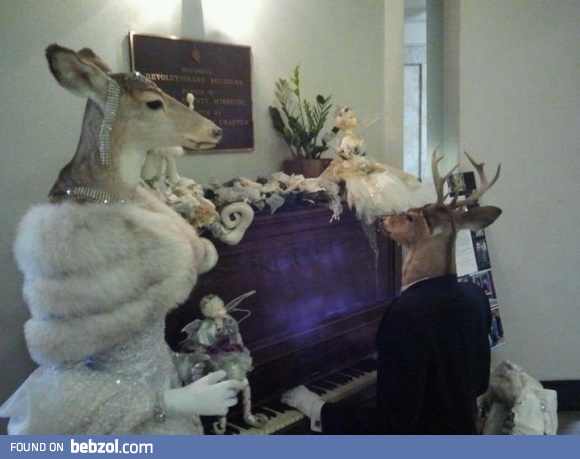 Oh Deer