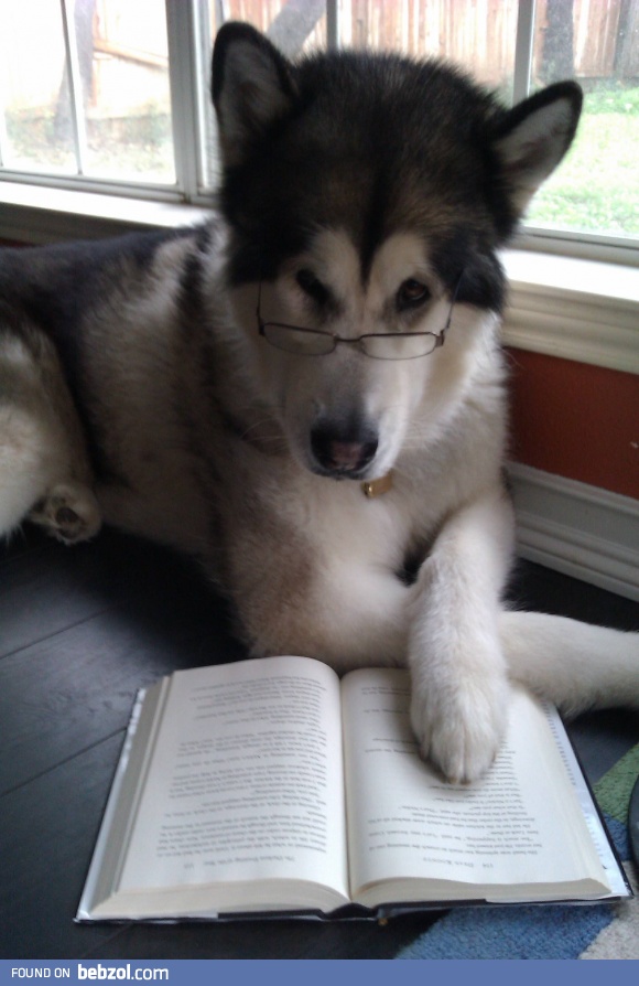 Do you mind I'm reading here...