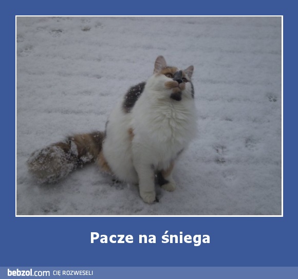 Pacze na śniega