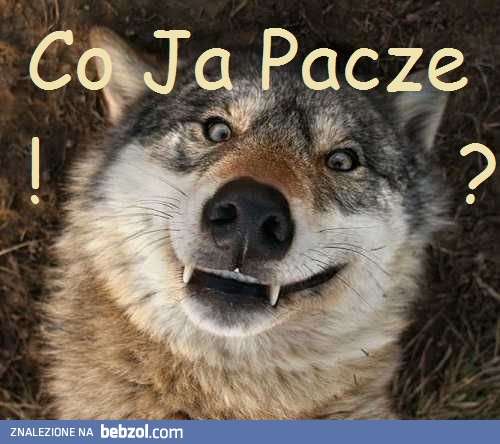 Nie wiem, ale musi być fajne