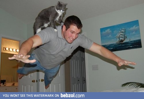 FLY HUMAN FLY!