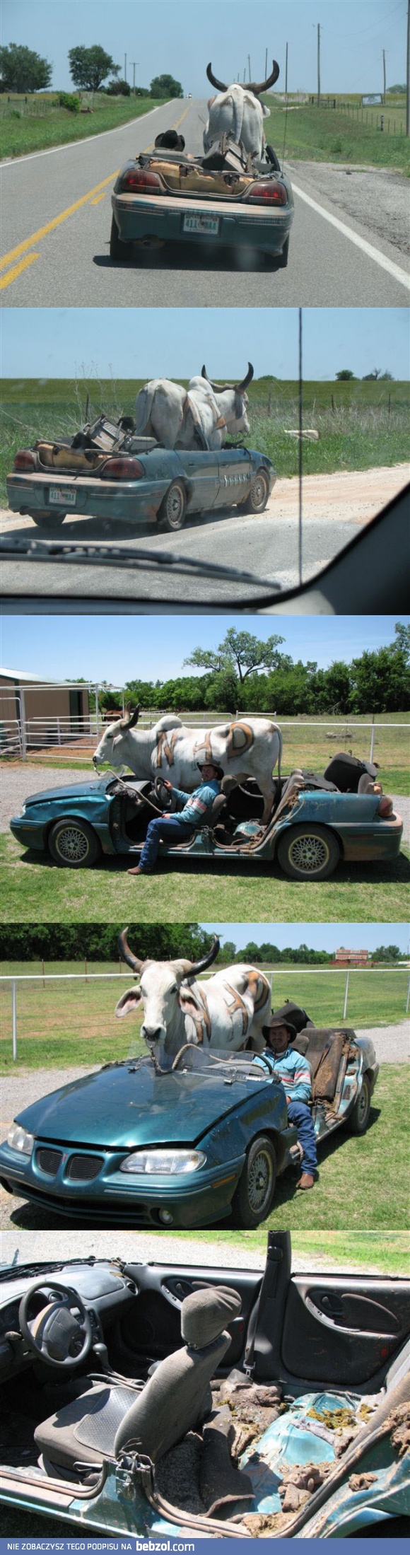Używany pontiac na sprzedaż