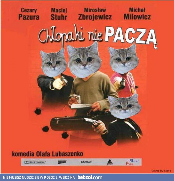Chłopaki nie paczą
