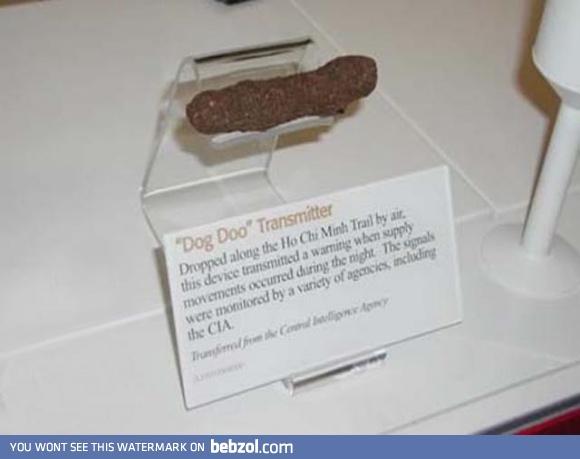 Genius