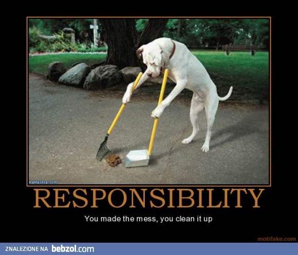 Odpowiedzialność...