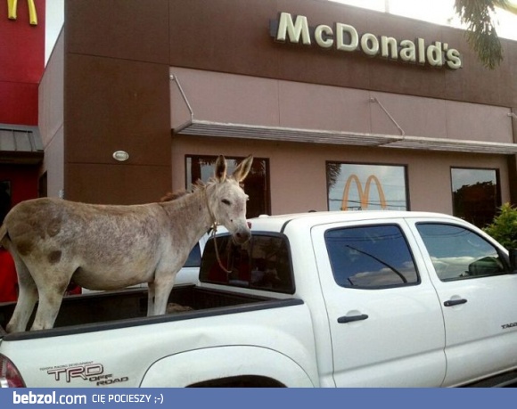 Dwa burgery i frytki a dla kolegi happy meal
