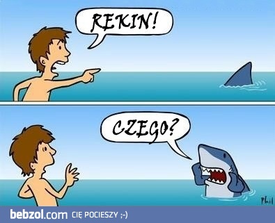 rrrrrekin!!!