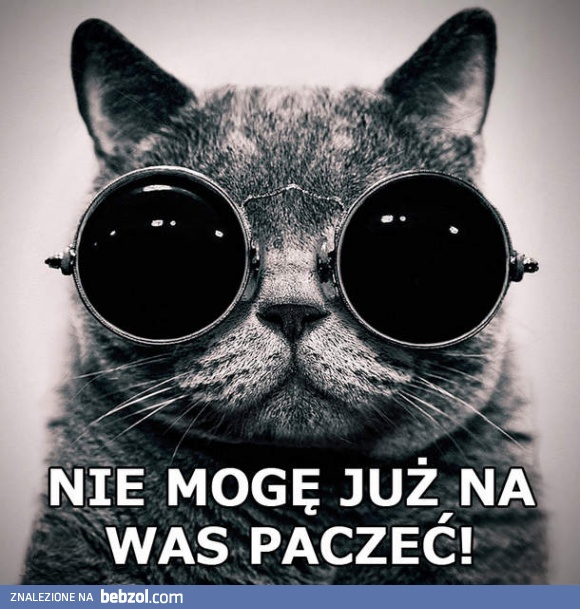 Paczający kot już nie chce paczeć
