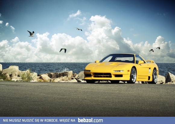 Ptaki zauważyły już że masz świeżo umyty samochód...