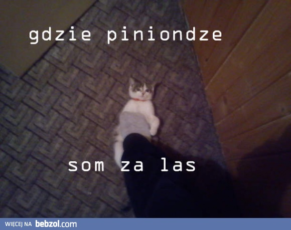 Gdzie piniondze som za las?