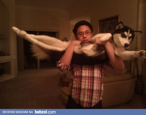 SuperHusky na ratunek