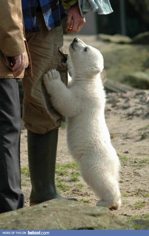 Please can I come with you?