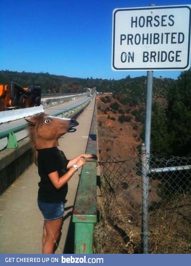 Horses prohibited on bridge