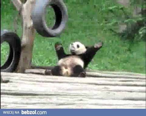 Dance-The-Panda-Gaga-Just Dance