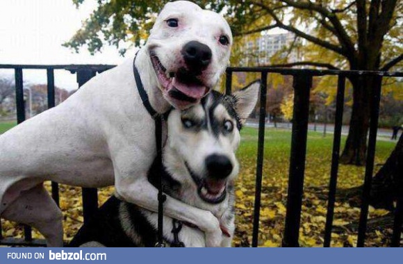 Photobomb